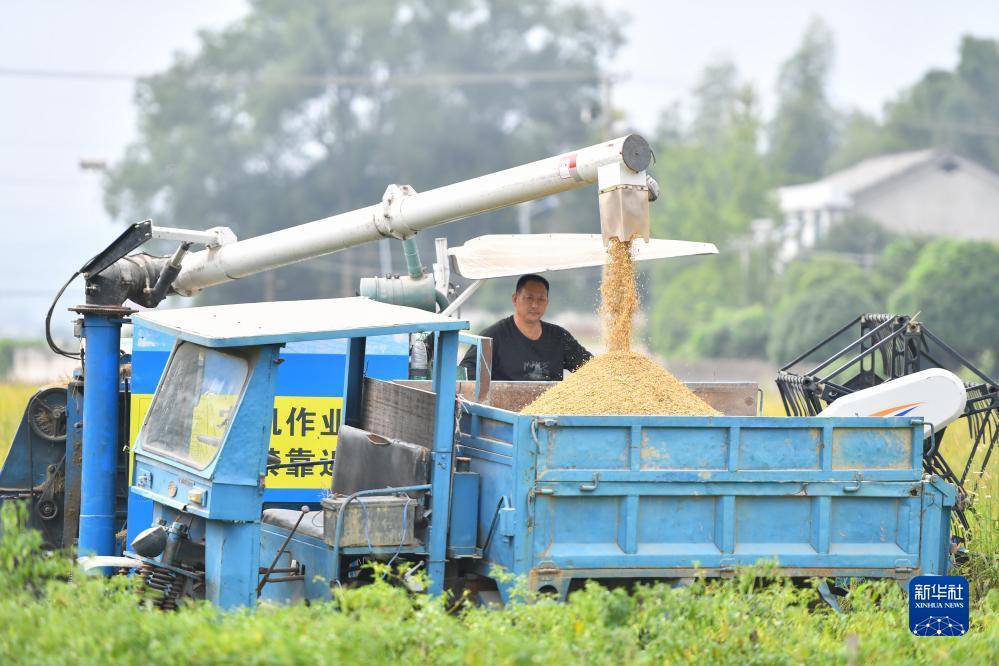 400811云顶